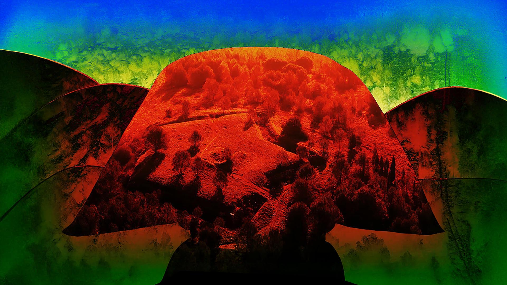 Slide Image