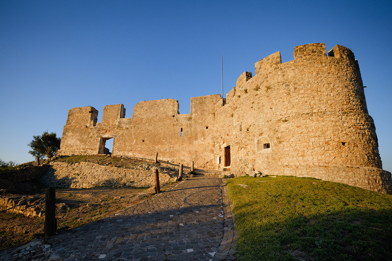 Slide Image
